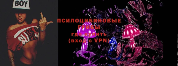 mdpv Горняк