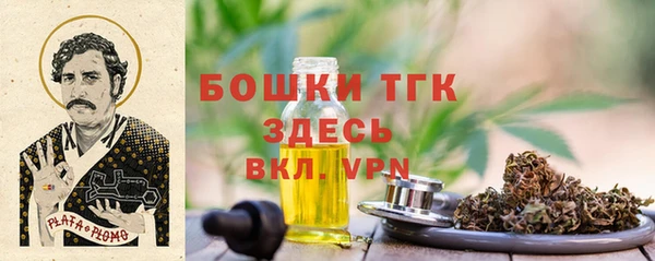молекула духа Горно-Алтайск